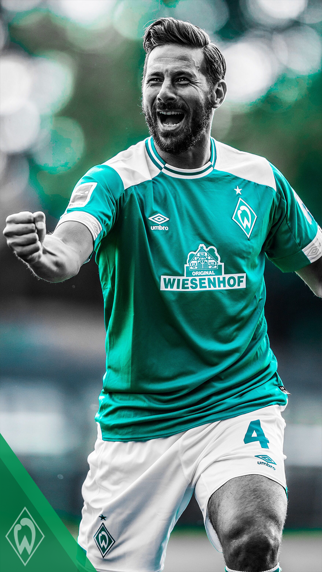 Werder Bremen Spieler