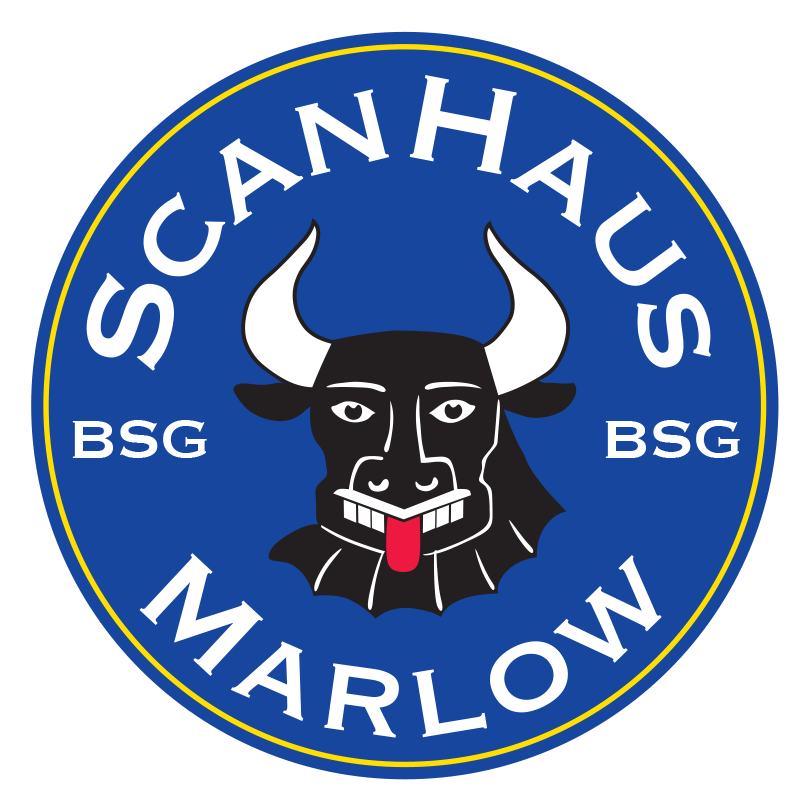 Logo BSG Scanhaus Marlow