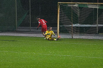 Backhaus sitzt auf dem Boden und van Wolfswinkel jubelt für Twente