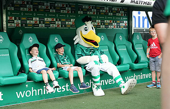 Zusammen mit zwei kleinen Jungs sitzt die Möwe Toni auf der Trainerbank