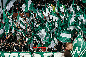 Die Werder-Fans in einem Meer aus grün-weißen Fahnen.