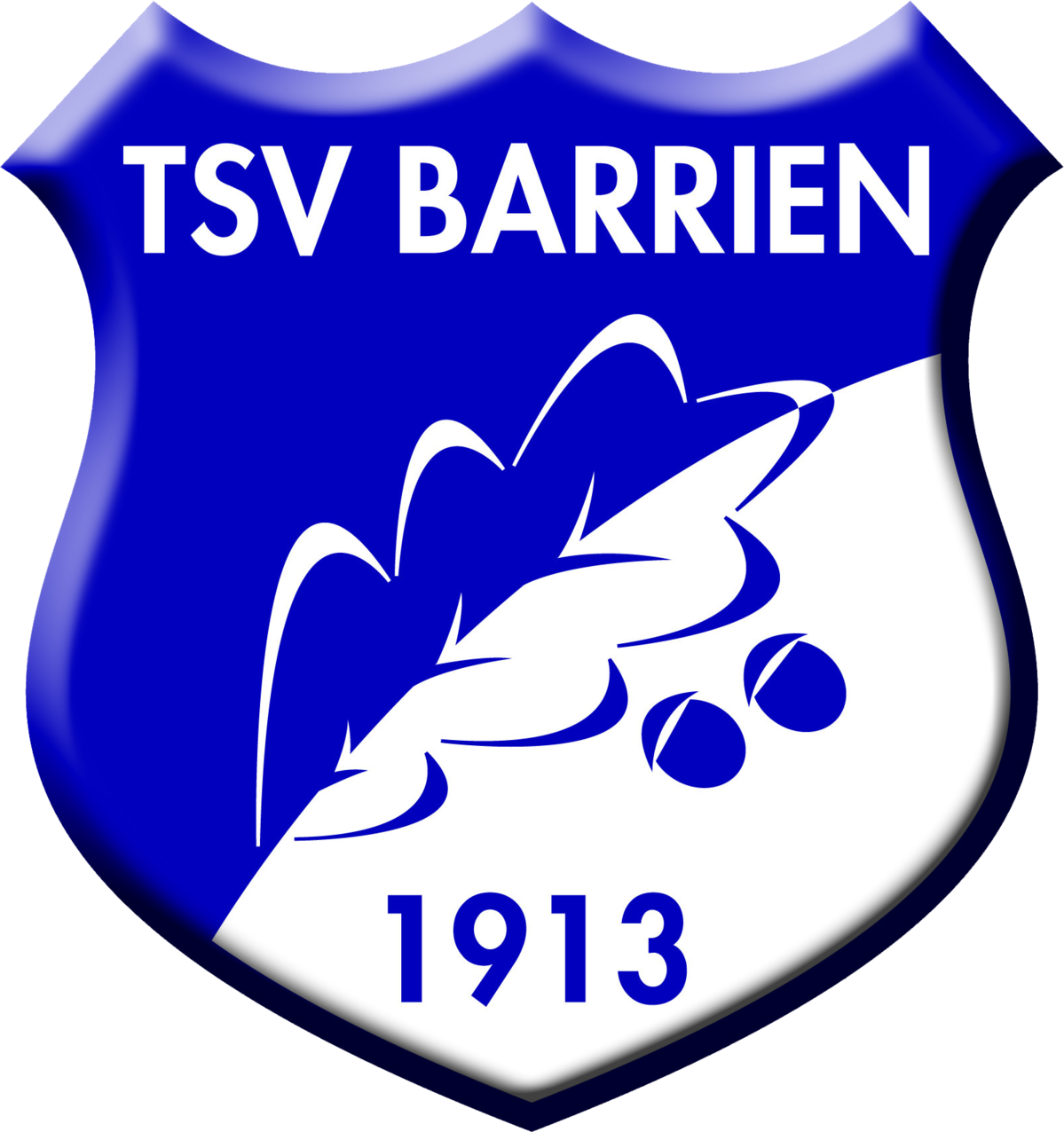 Logo TSV Barrien