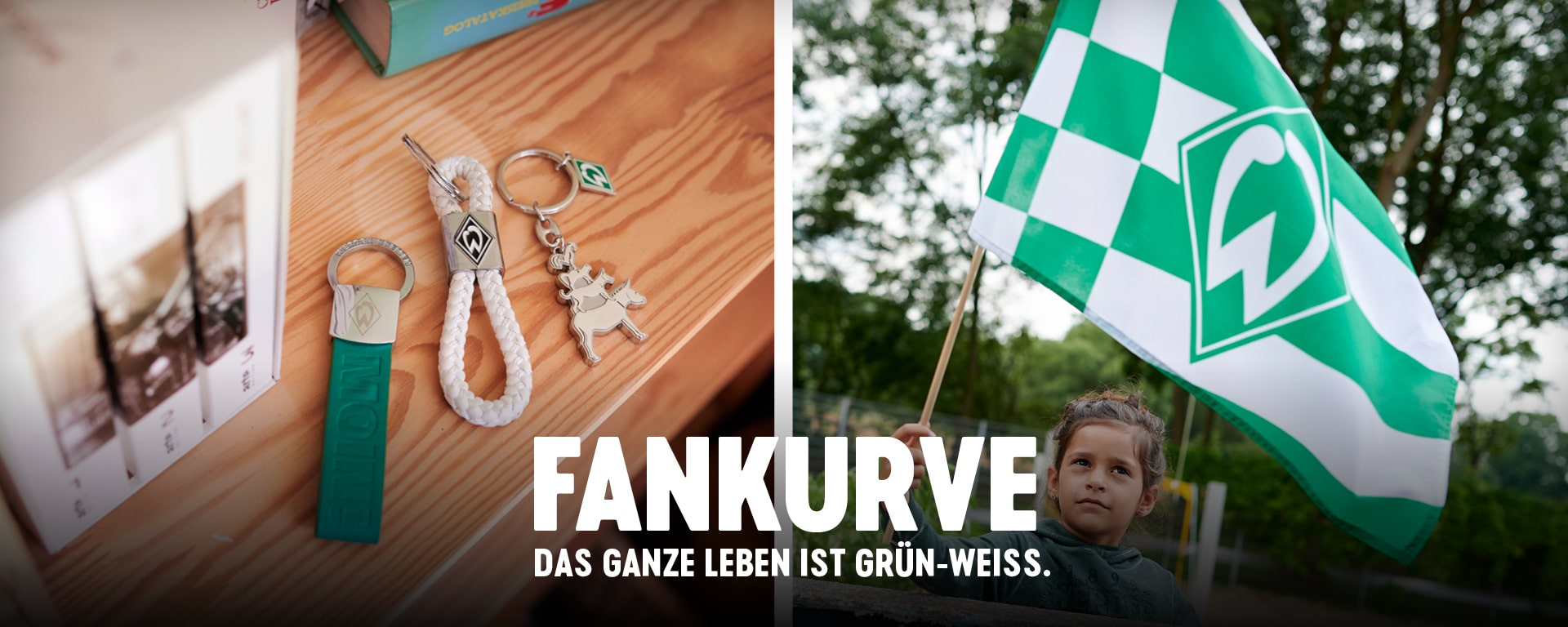 Fankurve Fankurve