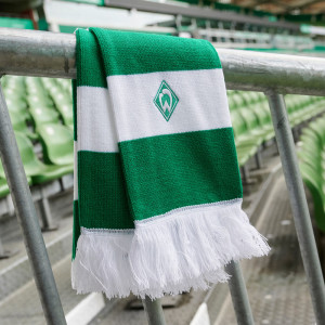 11-20410 SV Werder Bremen Autofahne grün-weiß 